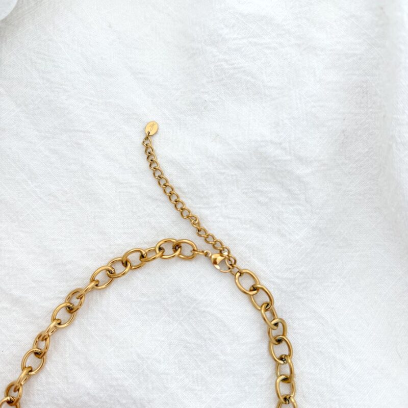 Collier acier inoxydable pour femme tendance à gros maillons ovale. Le collier est décoré au milieu d'un pendentif ovale.